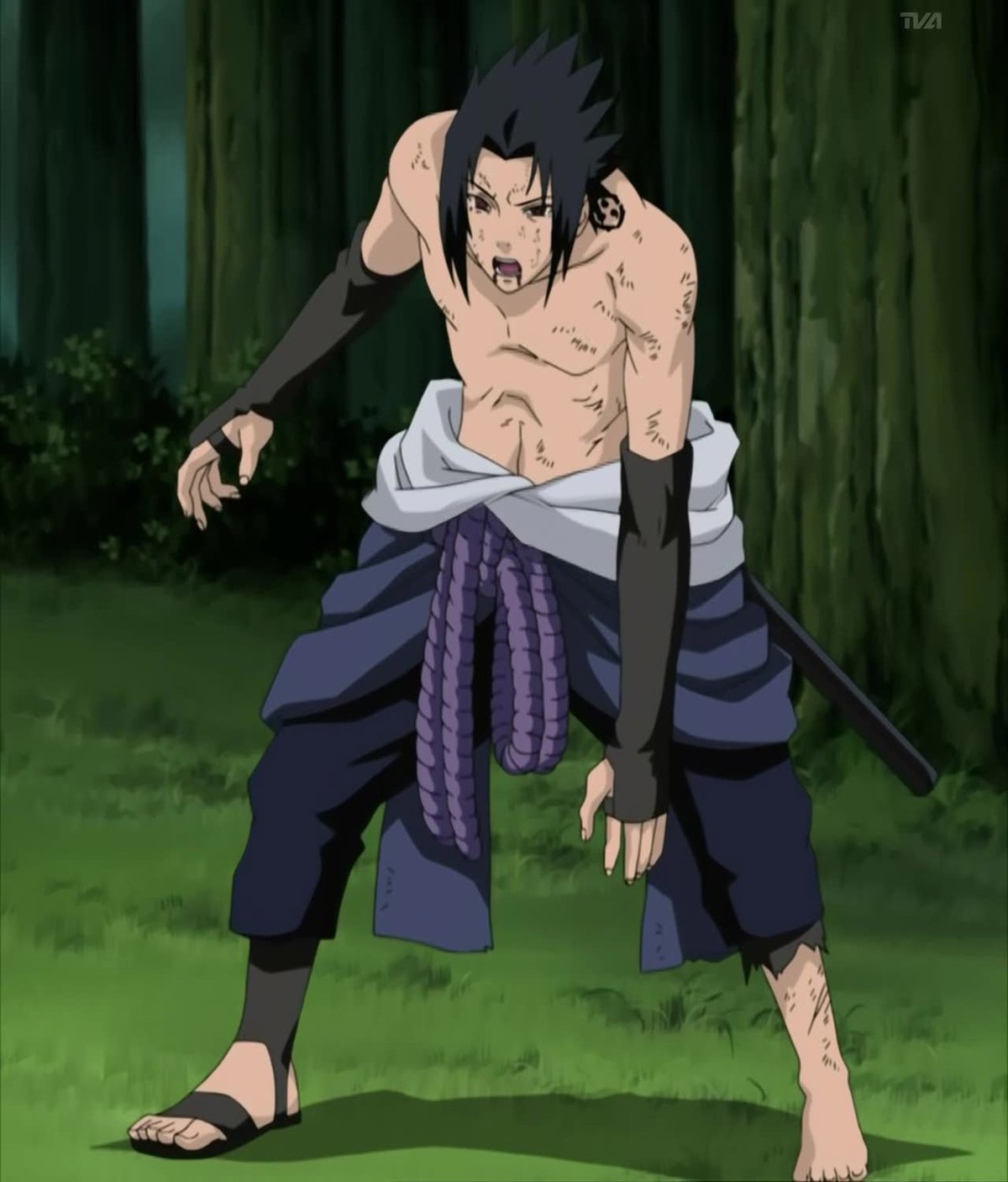 Sasuke Uchiha Explained in the Fairy Tail Crossover